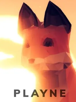  Playne  cover