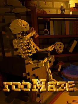  rooMaze  cover