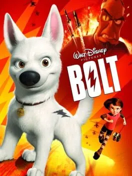  Bolt  cover