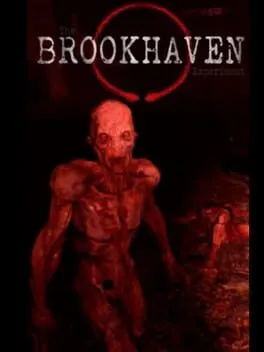  The Brookhaven Experiment  cover