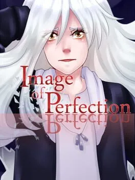  Image of Perfection  cover