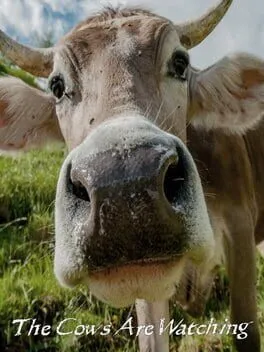  The Cows Are Watching  cover