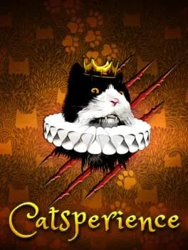  Catsperience  cover