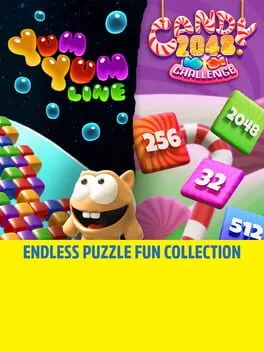  Endless Puzzle Fun Collection  cover