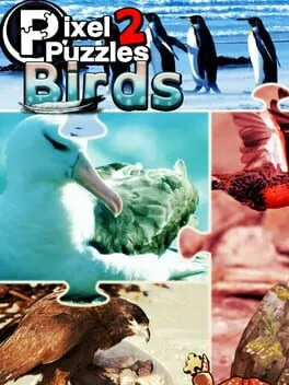  Pixel Puzzles 2: Birds  cover