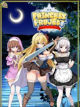  Princess Project  cover