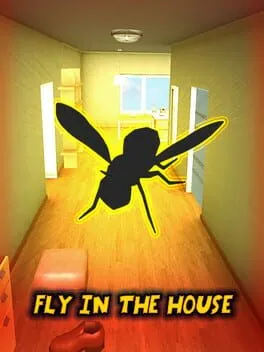  Fly in the House  cover