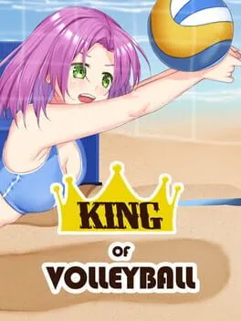  King of Volleyball  cover