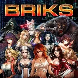  Briks  cover