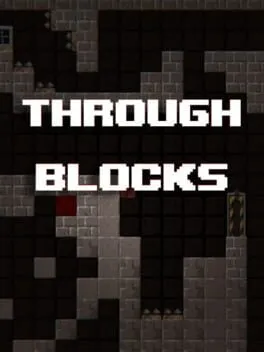  Through Blocks  cover