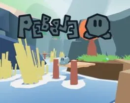  Pebble  cover