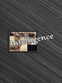  Intelligence  cover