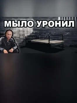  МЫЛО УРОНИЛ  cover