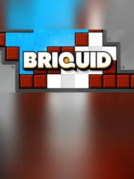 Briquid  cover