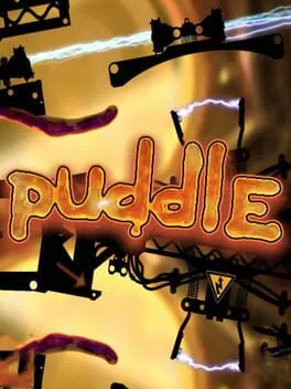  Puddle  cover