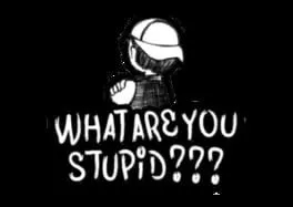  What Are You Stupid  cover