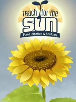  Reach for the Sun  cover