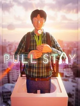  Pull Stay  cover