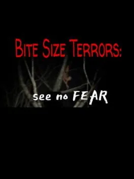  See No Fear  cover