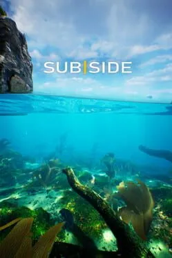  Subside  cover