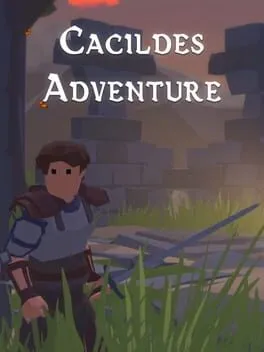  Cacildes Adventure  cover
