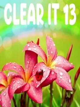  ClearIt 13  cover
