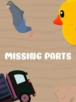  Missing parts  cover