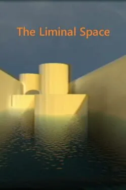  The Liminal Space  cover