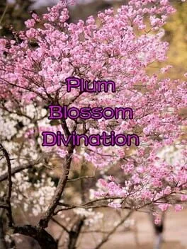  Plum Blossom Divination  cover