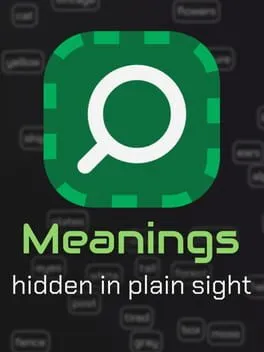 Meanings: Hidden in Plain Sight  cover