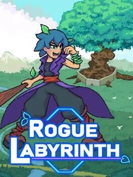  Rogue Labyrinth  cover
