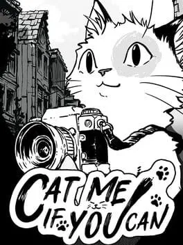  这有猫腻  cover