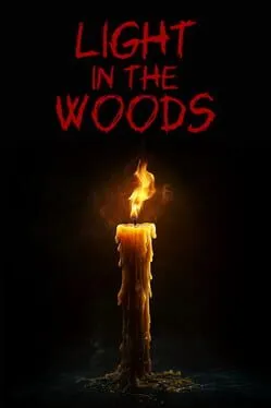  Light in the Woods  cover