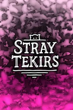  Stray Tekirs  cover