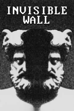  Invisible Wall  cover