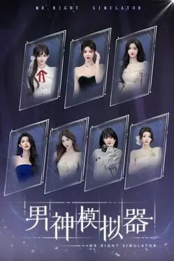  Mr Right Simulator  cover
