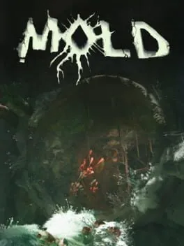  Mold  cover