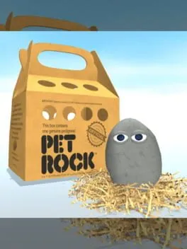  Pet Rock  cover