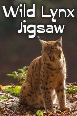  Wild Lynx Jigsaw  cover