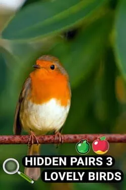  Hidden Pairs 3: Lovely Birds  cover