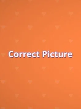  Correct Picture  cover