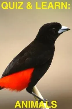  Quiz & Learn: Animals  cover