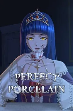  Perfect Porcelain  cover
