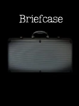  Briefcase  cover
