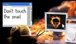  Don't Touch the Snail  cover