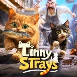  Tinny Strays  cover