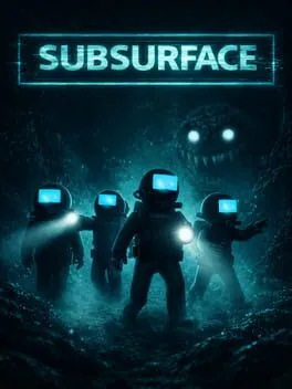  Subsurface  cover
