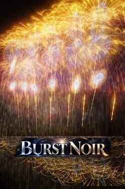  Burst Noir: Fireworks Simulator  cover